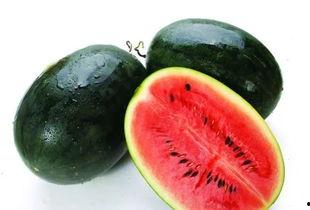 网红吃瓜名字大全霸气,霸气名字背后的瓜界传奇